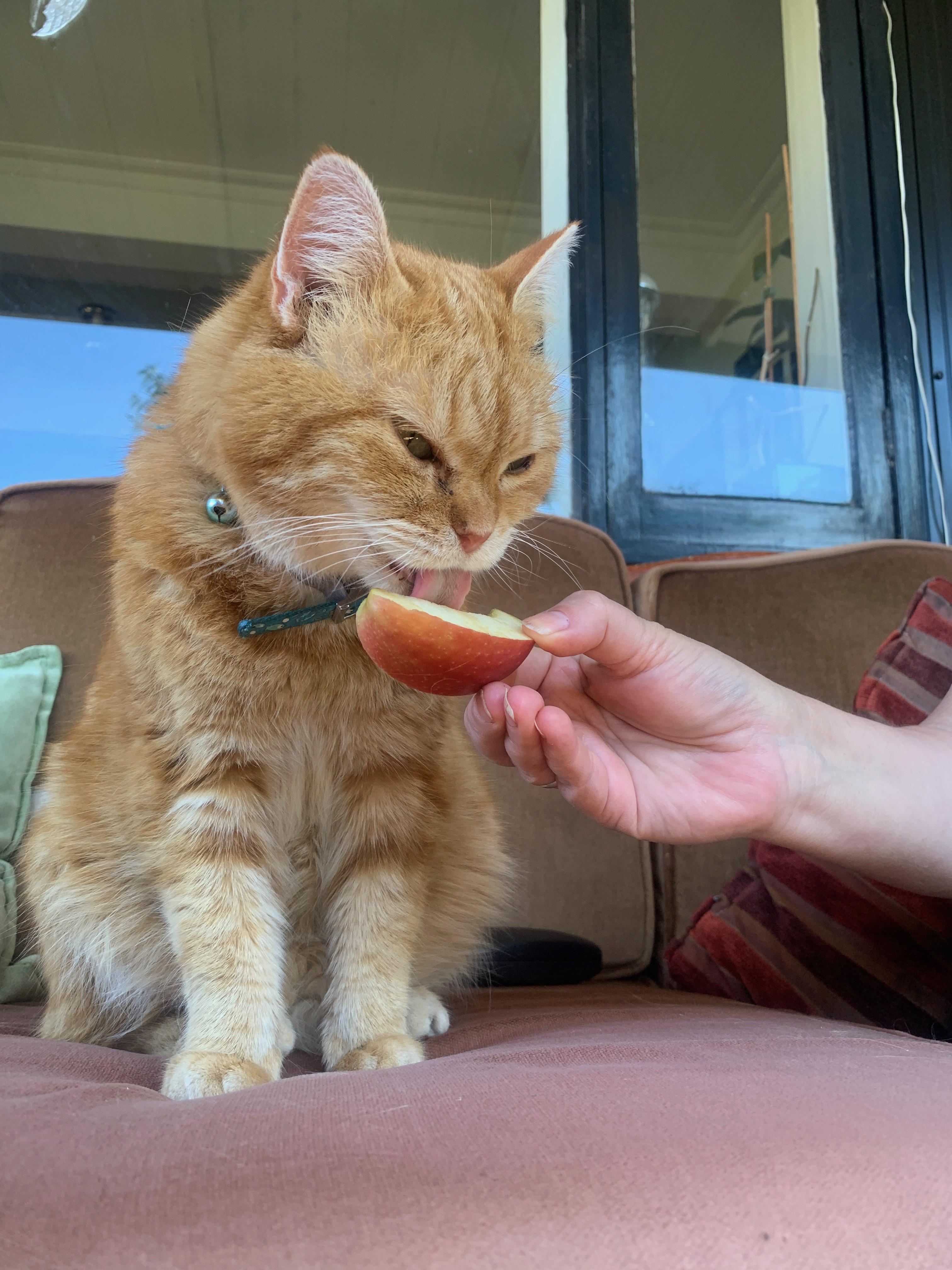 Apfel. Lecker.