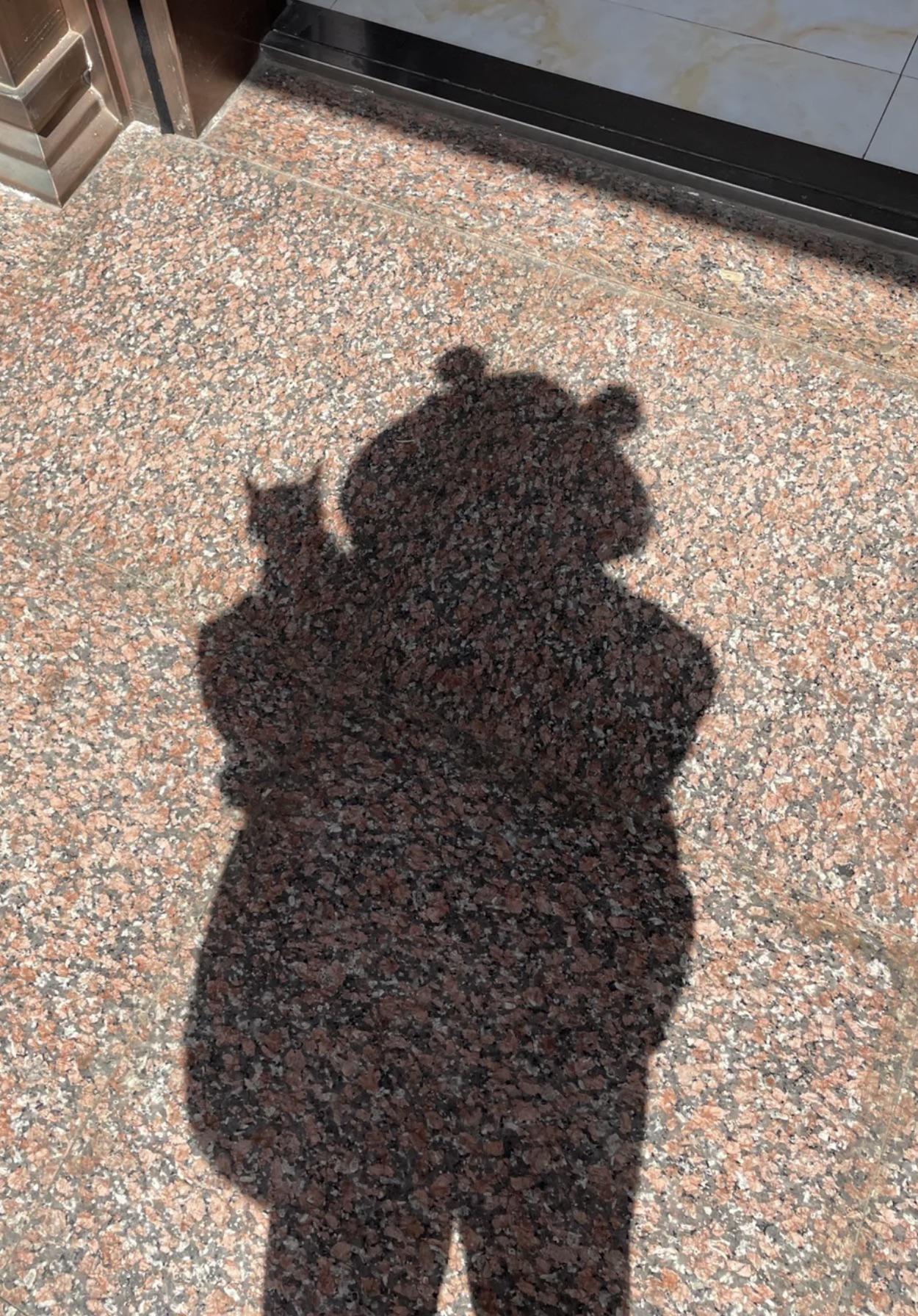 Katze ist sogar durch die Schatten süß~