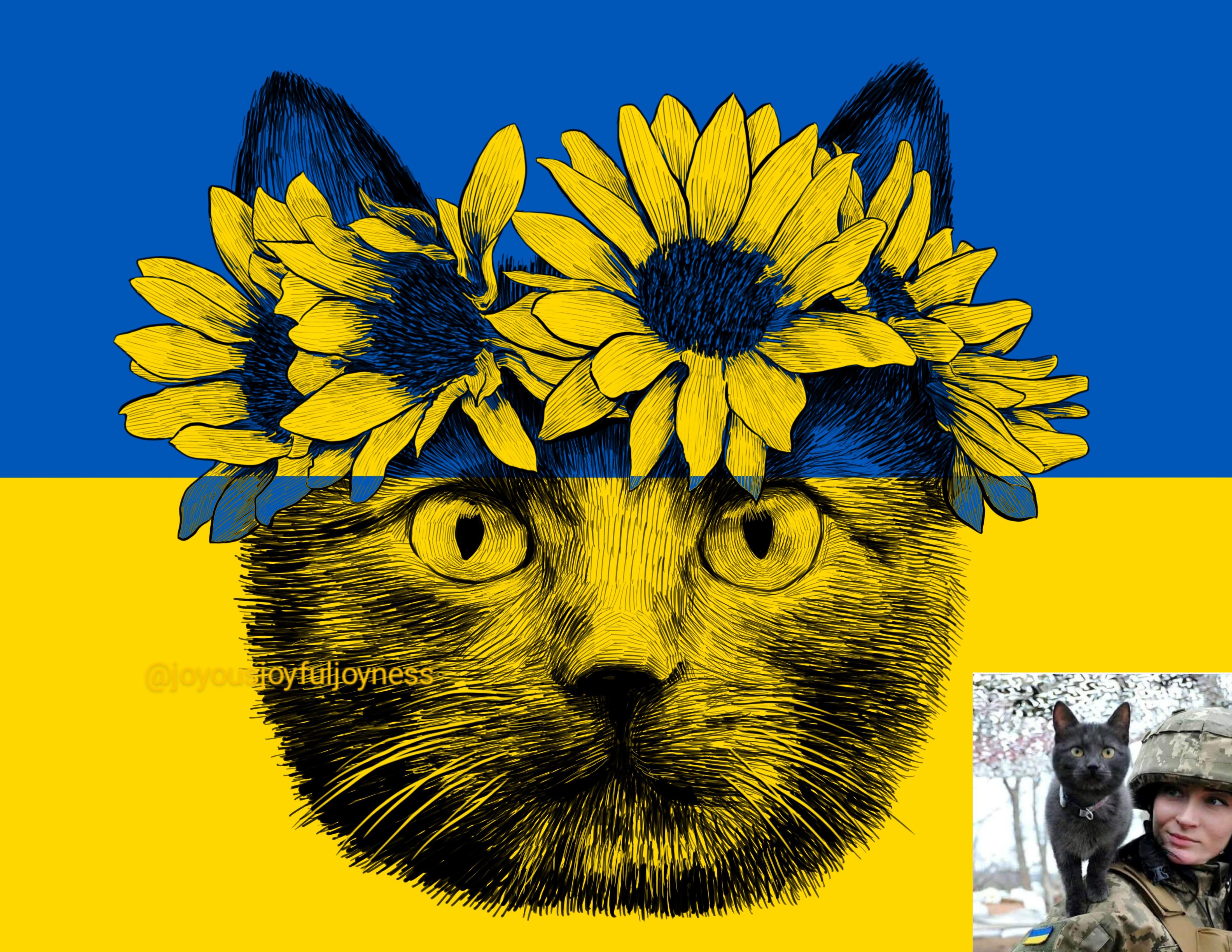 Katze der Ukraine