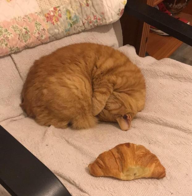 Croissant!