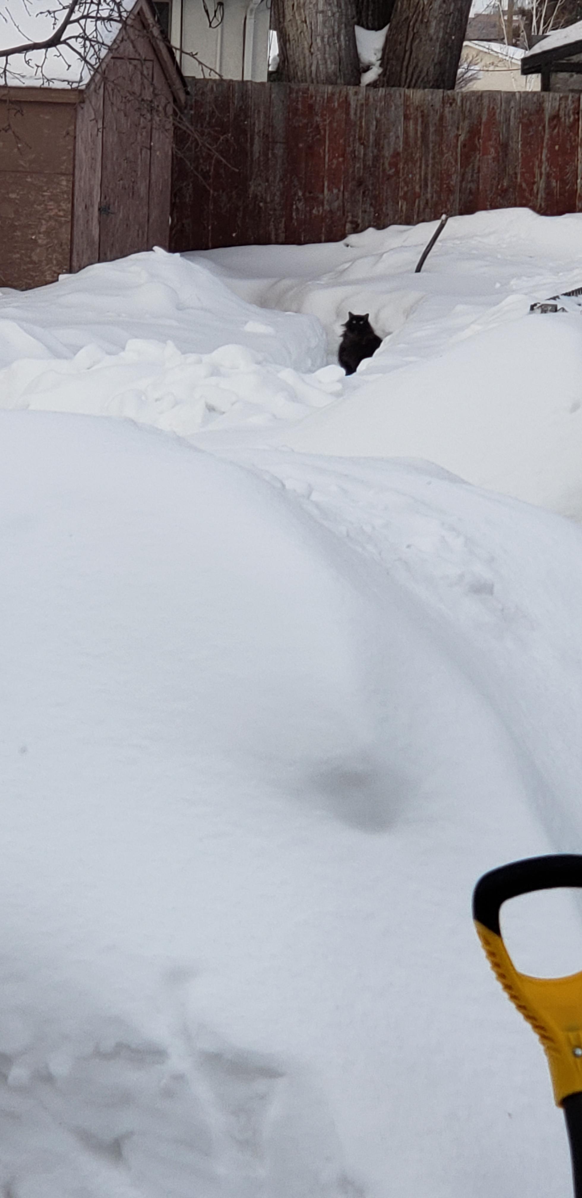 Genießen Sie die frische Wintermorgenluft