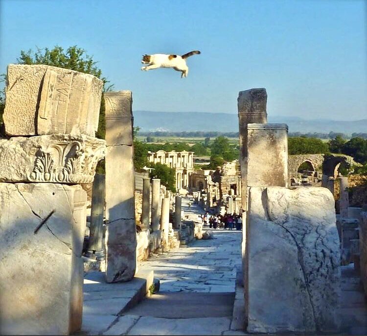 Fliegende Katze in Türkiye, Efes.