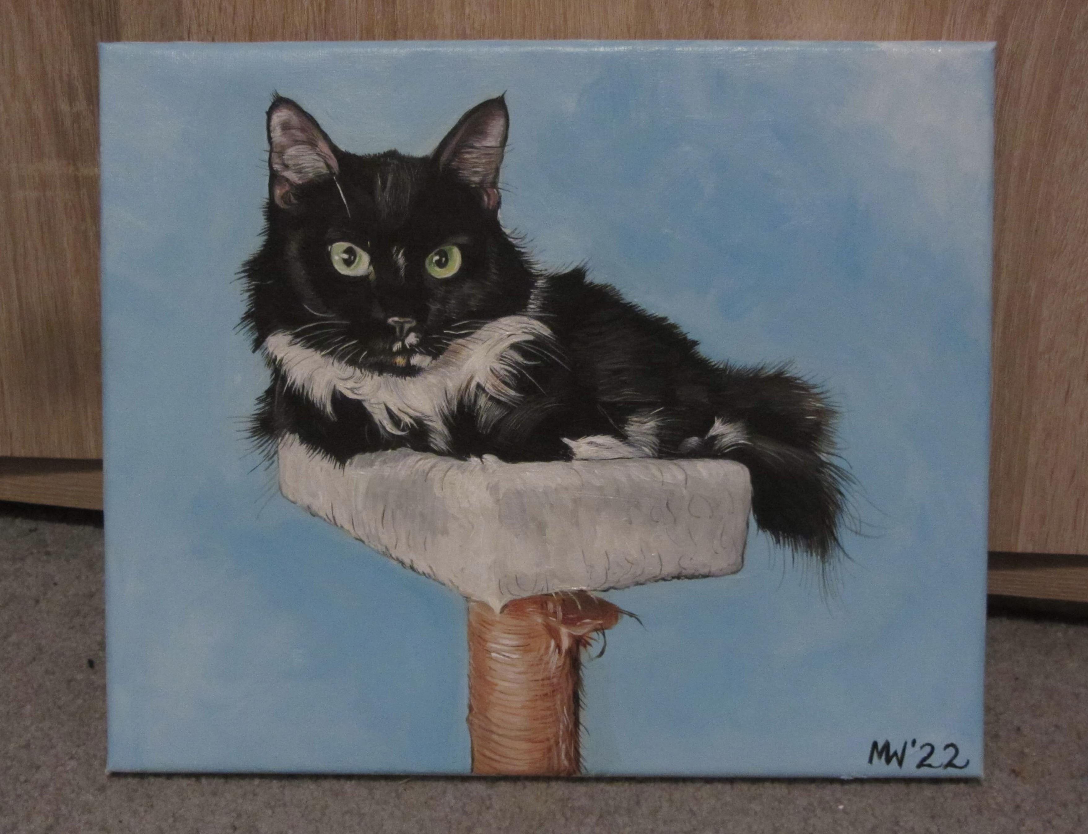 Ich bin Tierkünstlerin – hier ist mein neustes Bild von Shimmy der Katze 🐈‍⬛🧑‍🎨