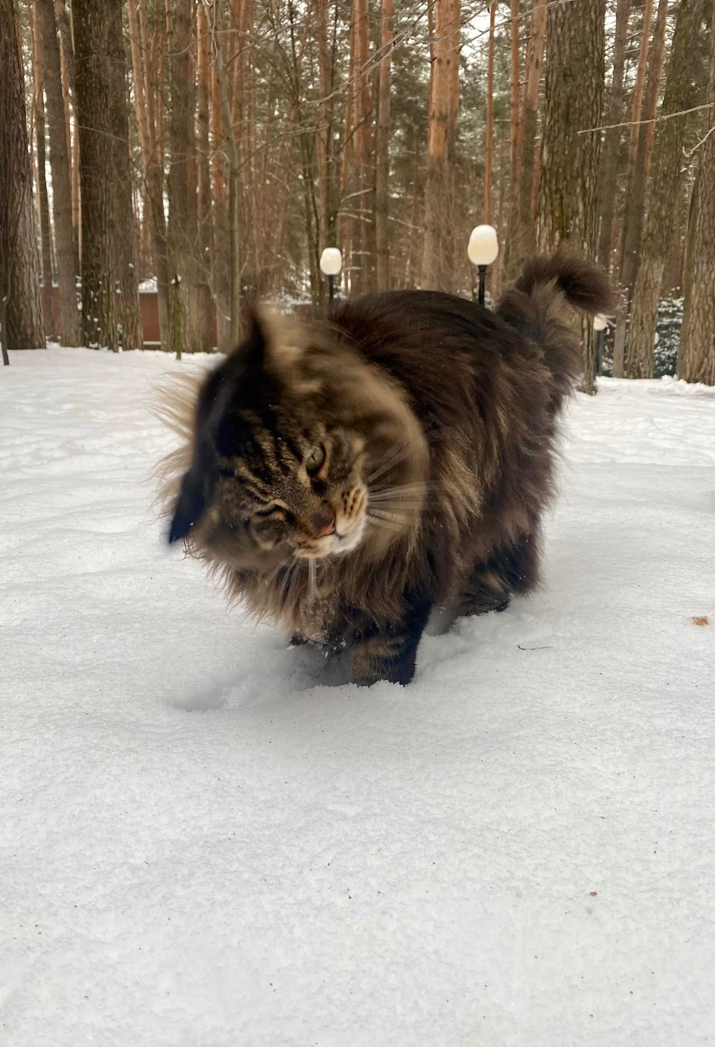 Kniffliger Blick. Er hat wirklich etwas vor.